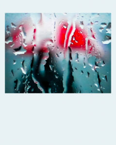 serie-Leon-2004-polar--9-Modifier-Modifier-Modifier-Modifier-2