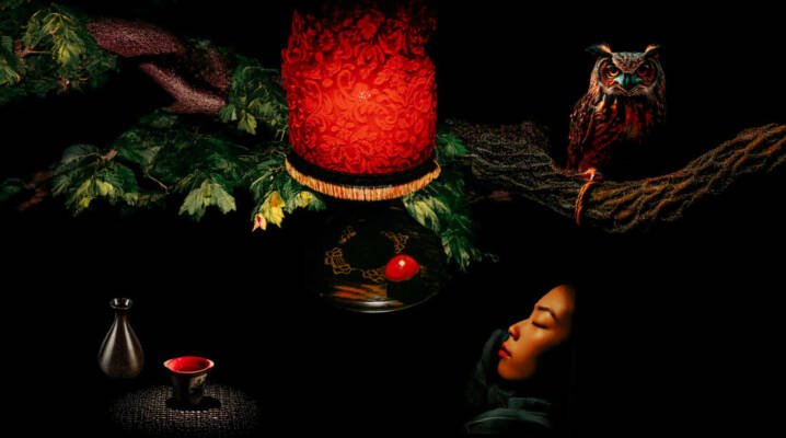 00 serie-OISEAUX-supp-1