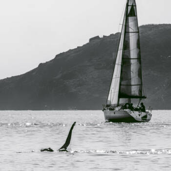 serie-grandes-vacances-web-2