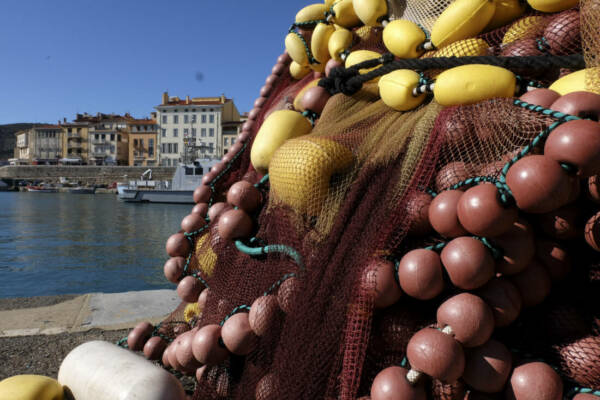 Port-Vendres (France)