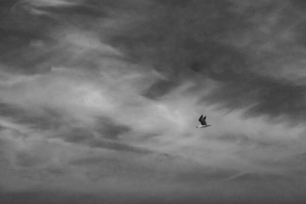 serie-de-passage-9