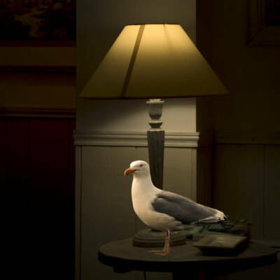 serie-lumiere-du-dehors-site-8