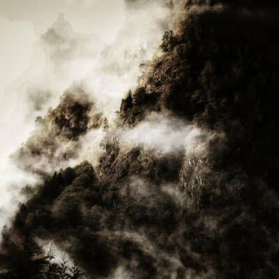 web