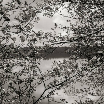 serie-matin-brumeux-web-0