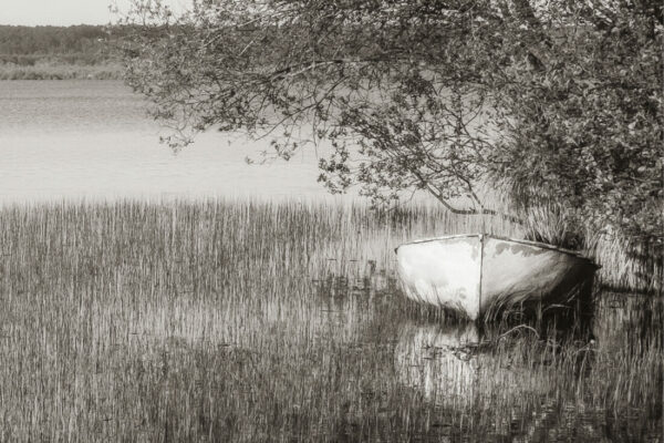 serie-nature-sepia-site-7