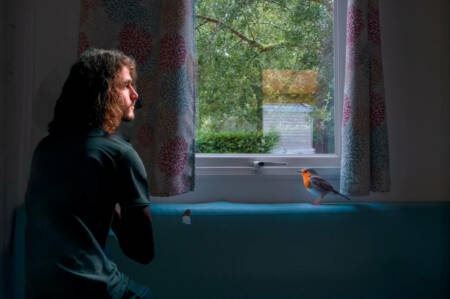 serie-oiseau-baignoire-1-2