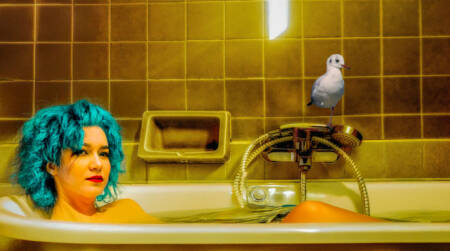 serie-oiseau-baignoire-1