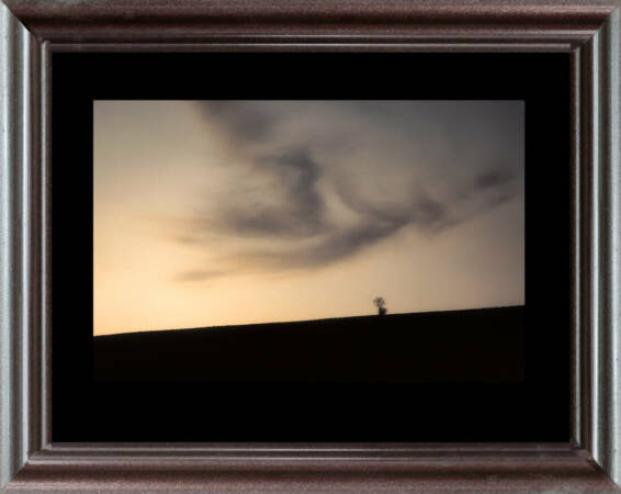 serie-portraits-paysage-def-33