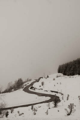 serie-pyrenees-11