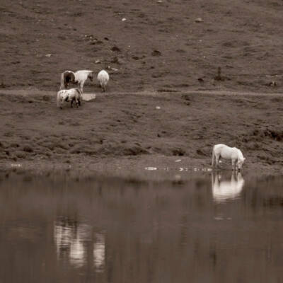 serie-pyrenees-5 corr
