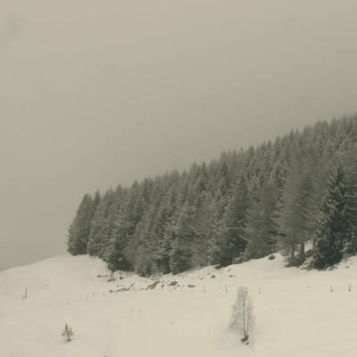 serie-pyrenees-8