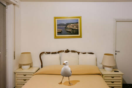serie-quand-les-oiseaux-11