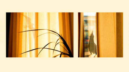 serie-quand-les-oiseaux-14