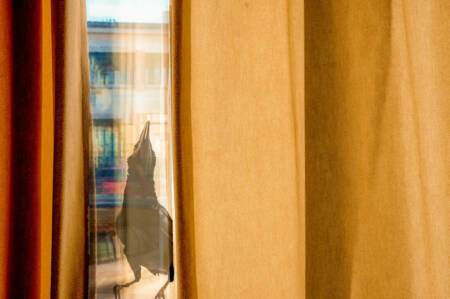 serie-quand-les-oiseaux-15