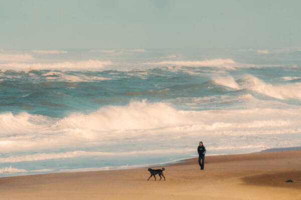 serie-rivages-19