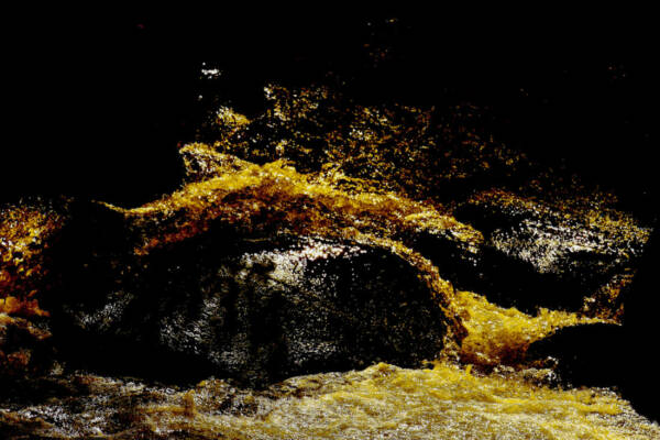serie-vie-a-preserver-web-13