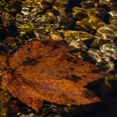serie-vie-a-preserver-web-14