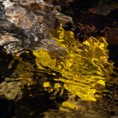 web